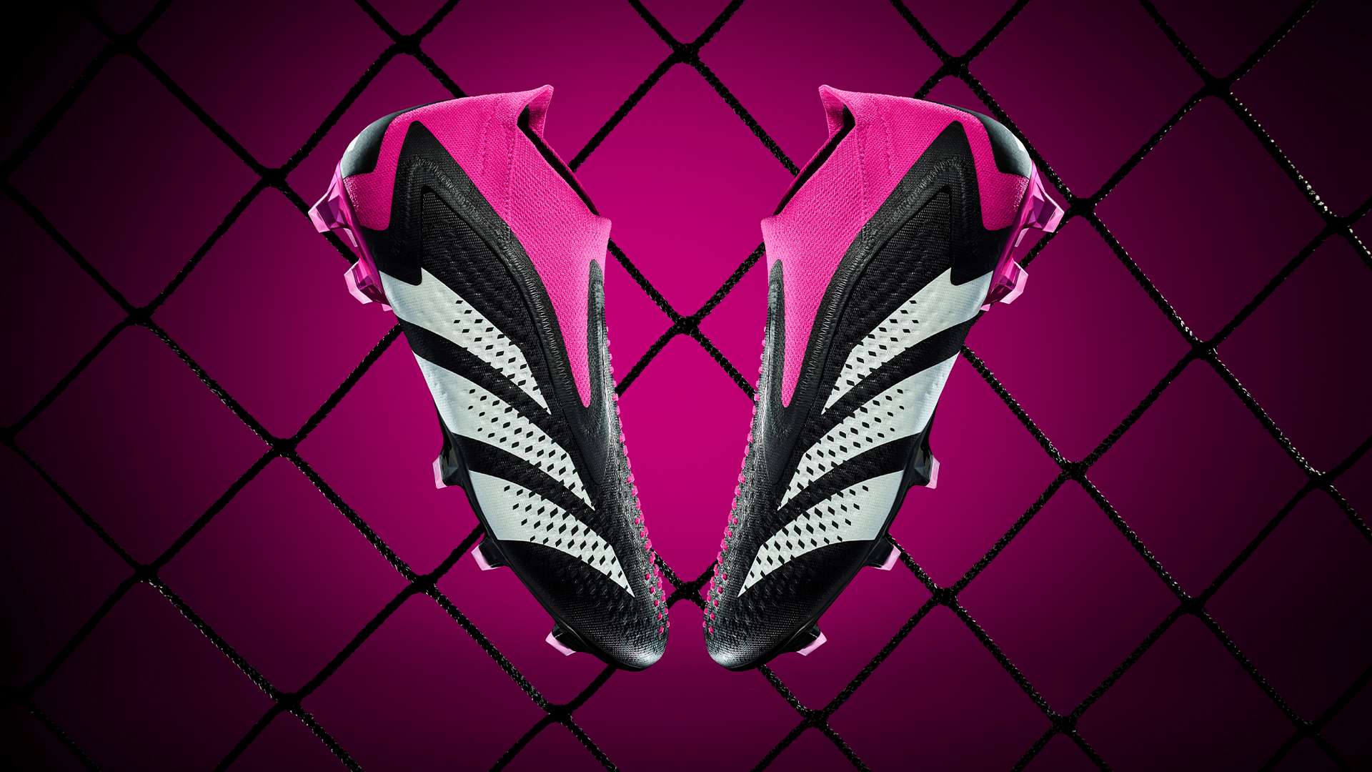 他也因此被 他也因此被